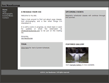 Tablet Screenshot of joenaudzunas.com